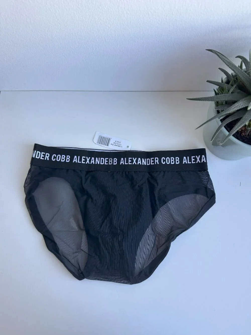 Alexander Cobb - Transparent Slip Brief - Black (S)